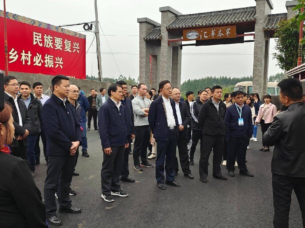 广西壮族自治区人民政府副秘书长----邝兵莅临汇萃本草育苗基地调研和指导工作